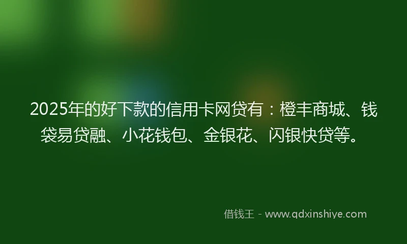 2025年的好下款的信用卡网贷有：橙丰商城、钱袋易贷融、小花钱包、金银花、闪银快贷等。