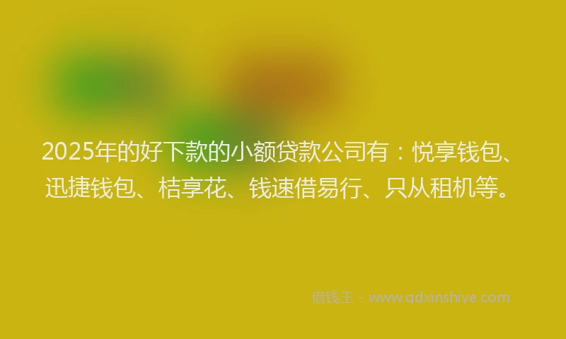 2025年的好下款的小额贷款公司有：悦享钱包、迅捷钱包、桔享花、钱速借易行、只从租机等。