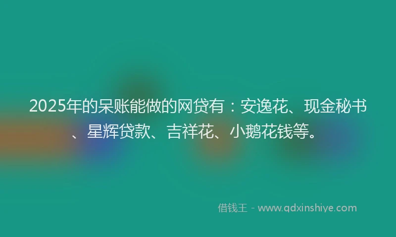 2025年的呆账能做的网贷有：安逸花、现金秘书、星辉贷款、吉祥花、小鹅花钱等。