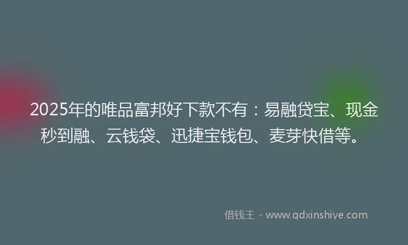 2025年的唯品富邦好下款不有：易融贷宝、现金秒到融、云钱袋、迅捷宝钱包、麦芽快借等。