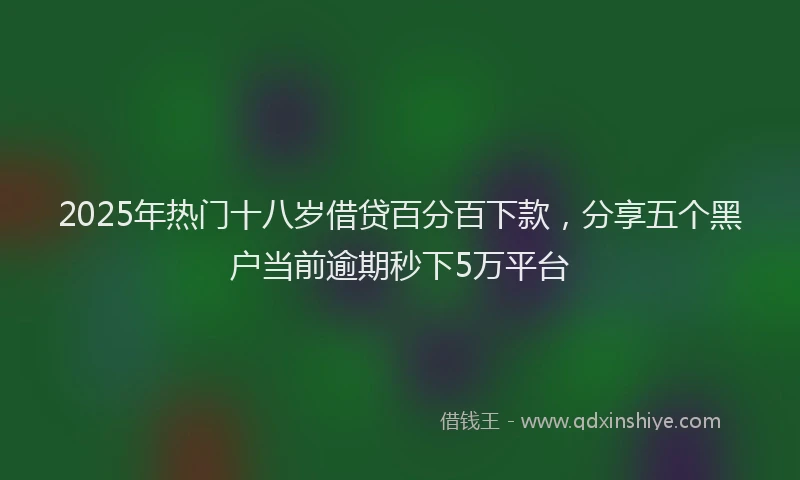 2025年热门十八岁借贷百分百下款，分享五个黑户当前逾期秒下5万平台