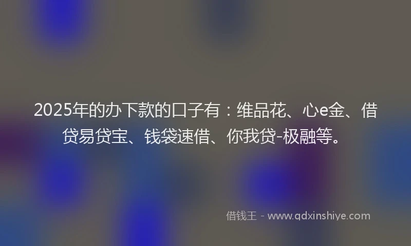 2025年的办下款的口子有：维品花、心e金、借贷易贷宝、钱袋速借、你我贷-极融等。