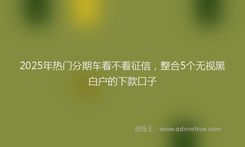 2025年热门分期车看不看征信，整合5个无视黑白户的下款口子
