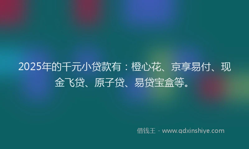 2025年的千元小贷款有：橙心花、京享易付、现金飞贷、原子贷、易贷宝盒等。