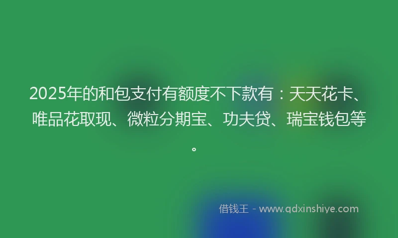 2025年的和包支付有额度不下款有：天天花卡、唯品花取现、微粒分期宝、功夫贷、瑞宝钱包等。