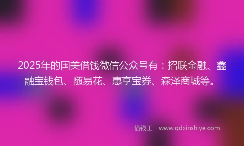 2025年的国美借钱微信公众号有：招联金融、鑫融宝钱包、随易花、惠享宝券、森泽商城等。