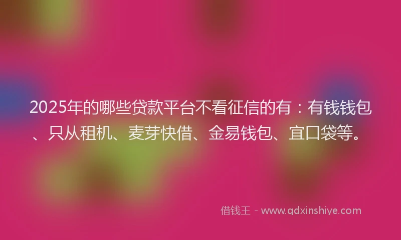 2025年的哪些贷款平台不看征信的有：有钱钱包、只从租机、麦芽快借、金易钱包、宜口袋等。