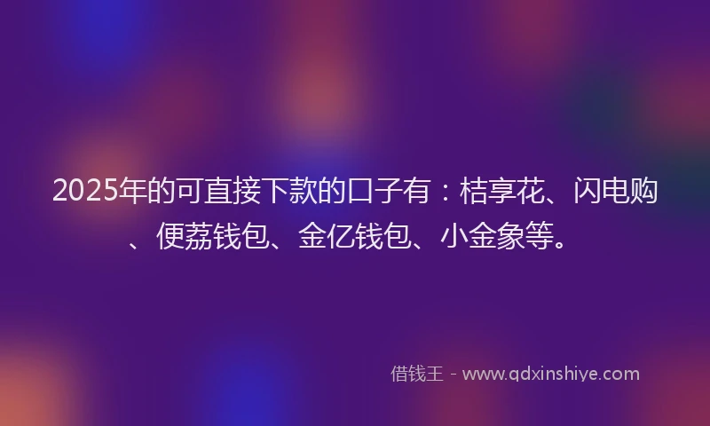2025年的可直接下款的口子有：桔享花、闪电购、便荔钱包、金亿钱包、小金象等。