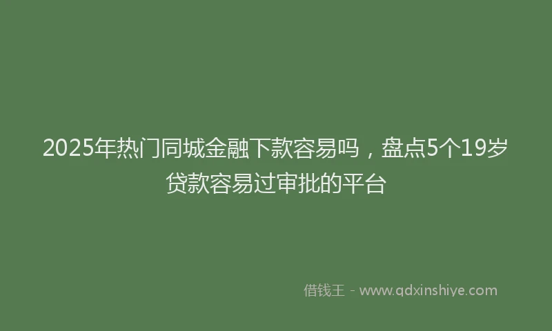 2025年热门同城金融下款容易吗，盘点5个19岁贷款容易过审批的平台