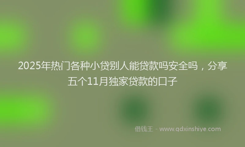 2025年热门各种小贷别人能贷款吗安全吗，分享五个11月独家贷款的口子