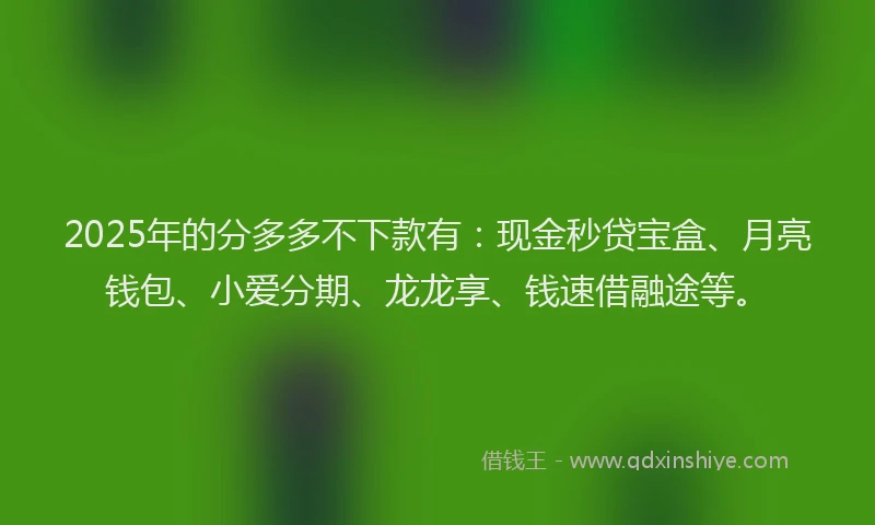 2025年的分多多不下款有：现金秒贷宝盒、月亮钱包、小爱分期、龙龙享、钱速借融途等。
