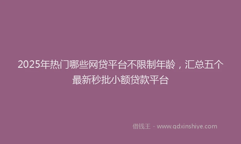 2025年热门哪些网贷平台不限制年龄，汇总五个最新秒批小额贷款平台