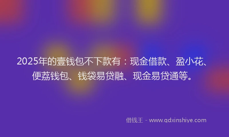 2025年的壹钱包不下款有：现金借款、盈小花、便荔钱包、钱袋易贷融、现金易贷通等。