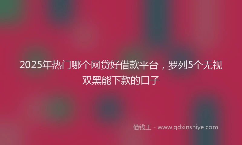 2025年热门哪个网贷好借款平台，罗列5个无视双黑能下款的口子