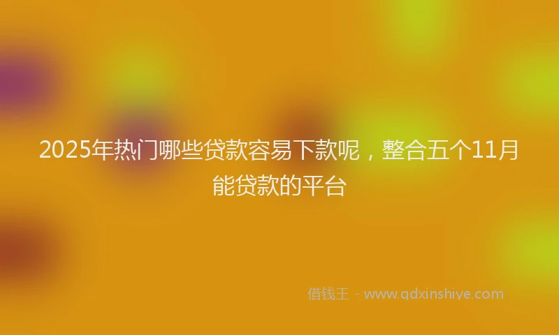 2025年热门哪些贷款容易下款呢，整合五个11月能贷款的平台