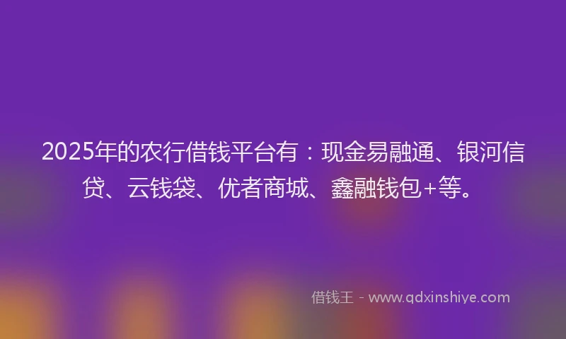 2025年的农行借钱平台有：现金易融通、银河信贷、云钱袋、优者商城、鑫融钱包+等。