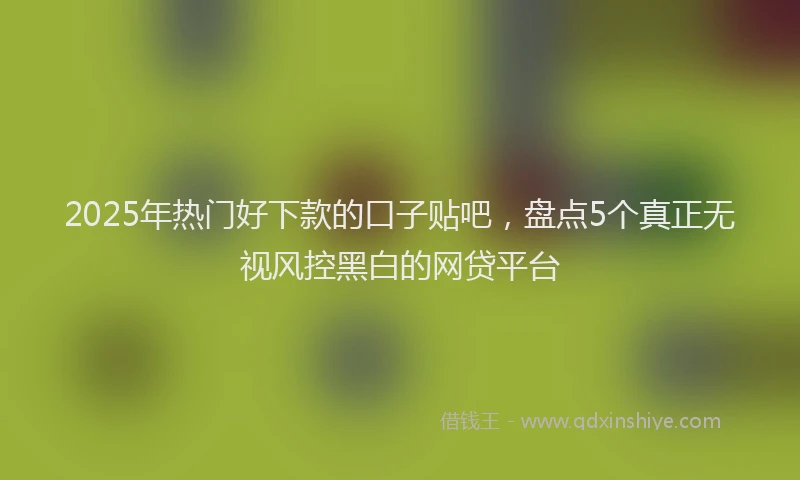 2025年热门好下款的口子贴吧，盘点5个真正无视风控黑白的网贷平台