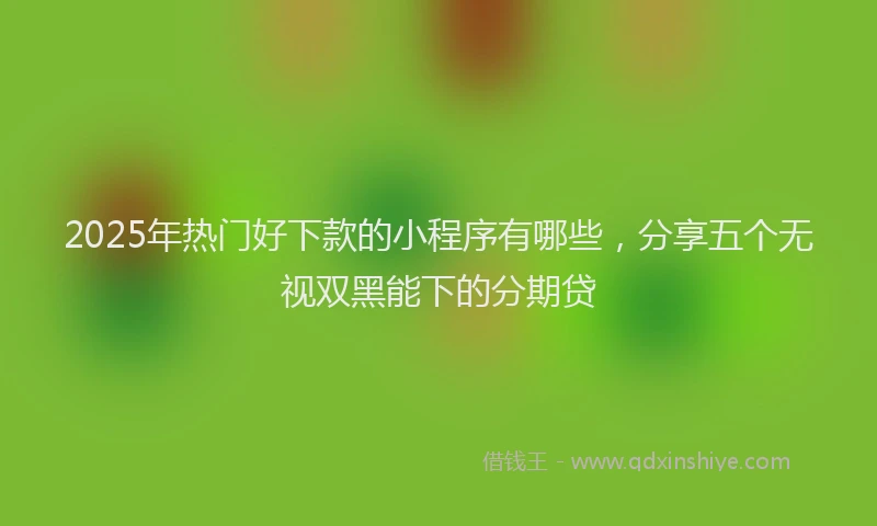 2025年热门好下款的小程序有哪些，分享五个无视双黑能下的分期贷