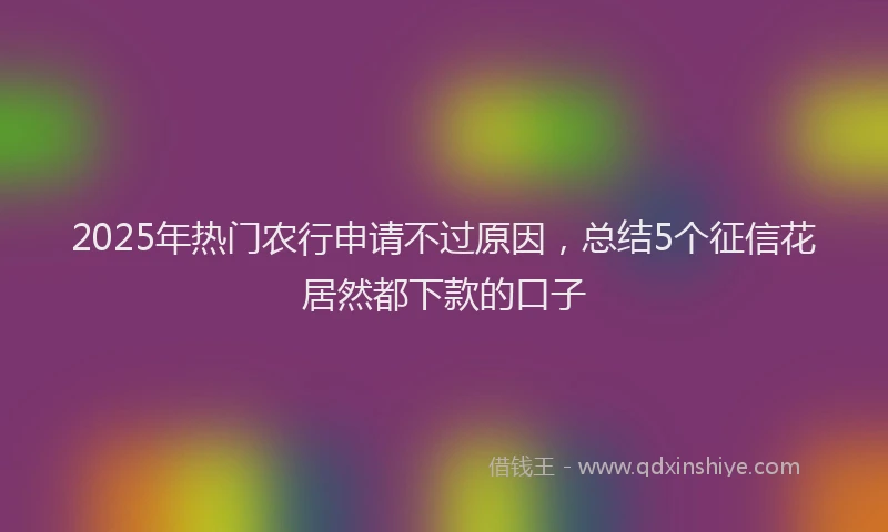 2025年热门农行申请不过原因，总结5个征信花居然都下款的口子