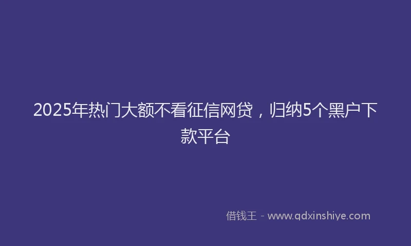 2025年热门大额不看征信网贷，归纳5个黑户下款平台