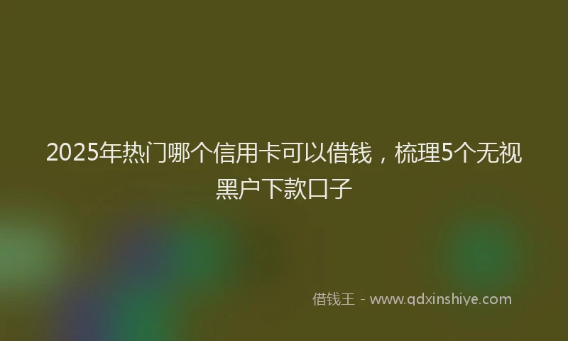 2025年热门哪个信用卡可以借钱，梳理5个无视黑户下款口子
