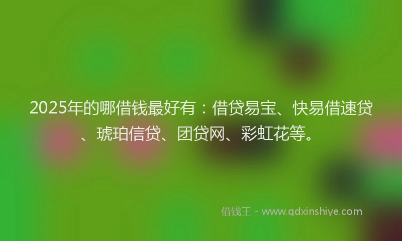 2025年的哪借钱最好有：借贷易宝、快易借速贷、琥珀信贷、团贷网、彩虹花等。