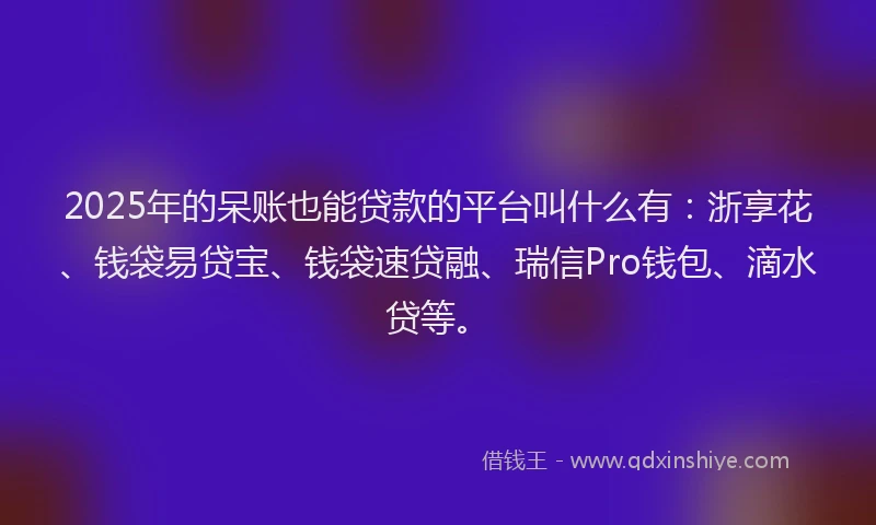 2025年的呆账也能贷款的平台叫什么有：浙享花、钱袋易贷宝、钱袋速贷融、瑞信Pro钱包、滴水贷等。