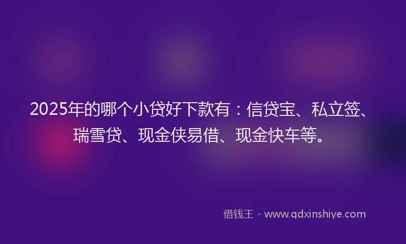 2025年的哪个小贷好下款有：信贷宝、私立签、瑞雪贷、现金侠易借、现金快车等。