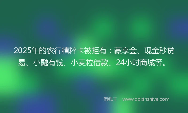2025年的农行精粹卡被拒有：蒙享金、现金秒贷易、小融有钱、小麦粒借款、24小时商城等。