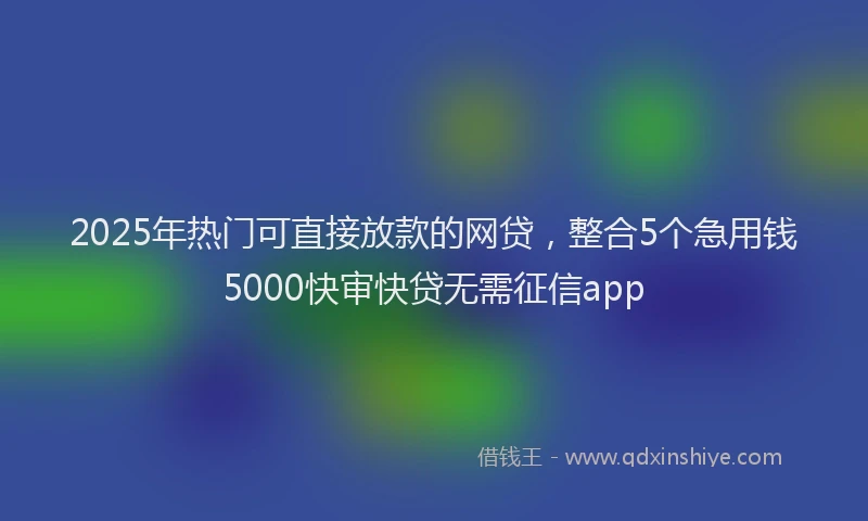 2025年热门可直接放款的网贷，整合5个急用钱5000快审快贷无需征信app