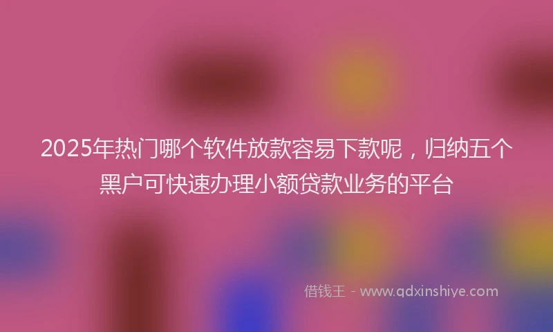 2025年热门哪个软件放款容易下款呢，归纳五个黑户可快速办理小额贷款业务的平台