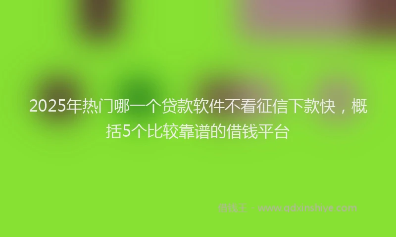 2025年热门哪一个贷款软件不看征信下款快，概括5个比较靠谱的借钱平台