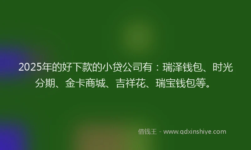 2025年的好下款的小贷公司有：瑞泽钱包、时光分期、金卡商城、吉祥花、瑞宝钱包等。