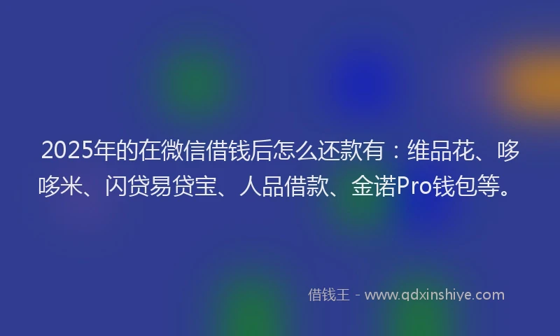 2025年的在微信借钱后怎么还款有：维品花、哆哆米、闪贷易贷宝、人品借款、金诺Pro钱包等。