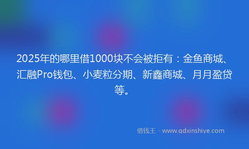 2025年的哪里借1000块不会被拒有：金鱼商城、汇融Pro钱包、小麦粒分期、新鑫商城、月月盈贷等。