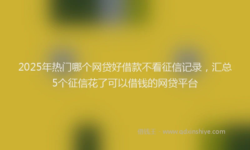 2025年热门哪个网贷好借款不看征信记录，汇总5个征信花了可以借钱的网贷平台
