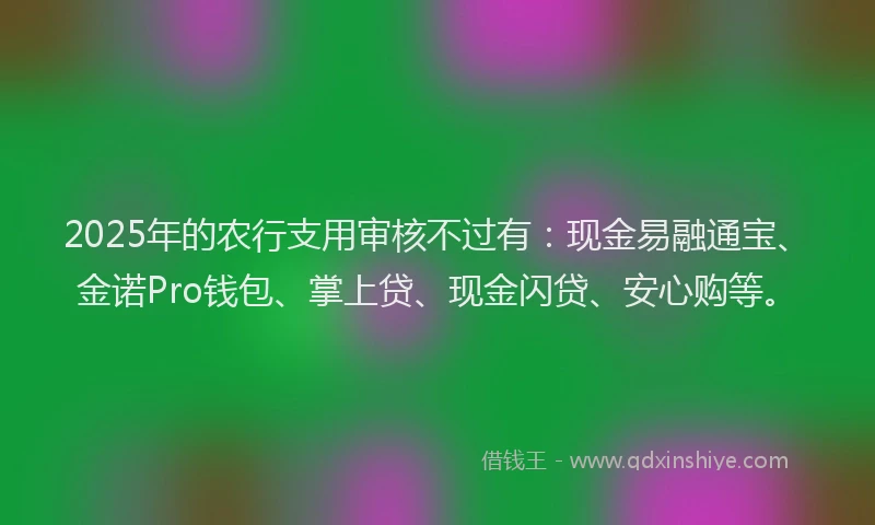 2025年的农行支用审核不过有：现金易融通宝、金诺Pro钱包、掌上贷、现金闪贷、安心购等。