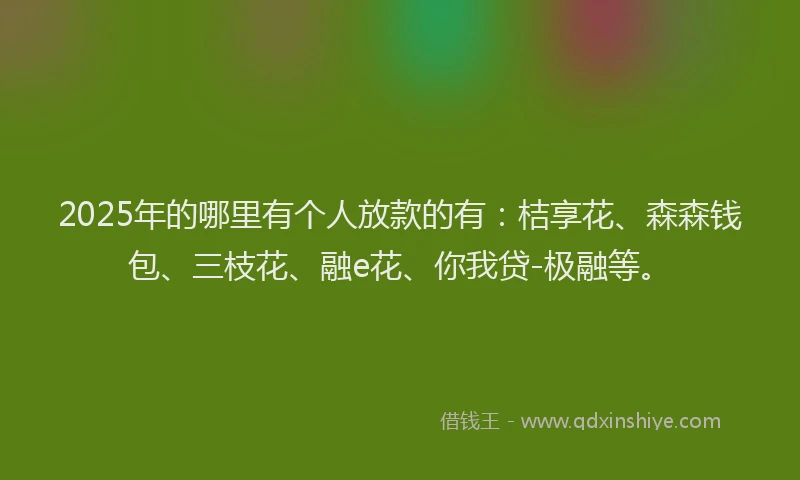 2025年的哪里有个人放款的有：桔享花、森森钱包、三枝花、融e花、你我贷-极融等。