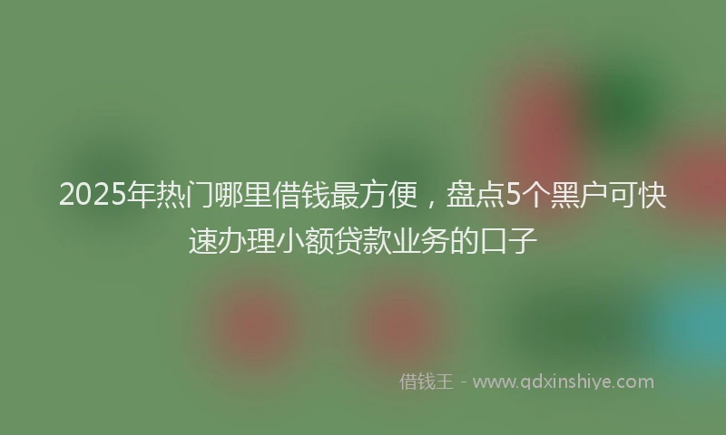 2025年热门哪里借钱最方便，盘点5个黑户可快速办理小额贷款业务的口子