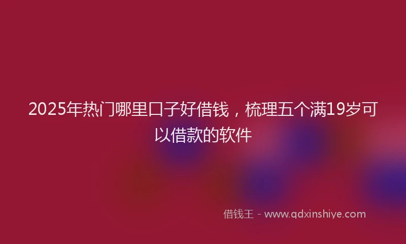2025年热门哪里口子好借钱，梳理五个满19岁可以借款的软件