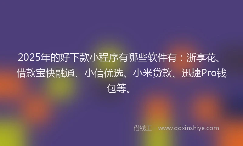 2025年的好下款小程序有哪些软件有：浙享花、借款宝快融通、小信优选、小米贷款、迅捷Pro钱包等。