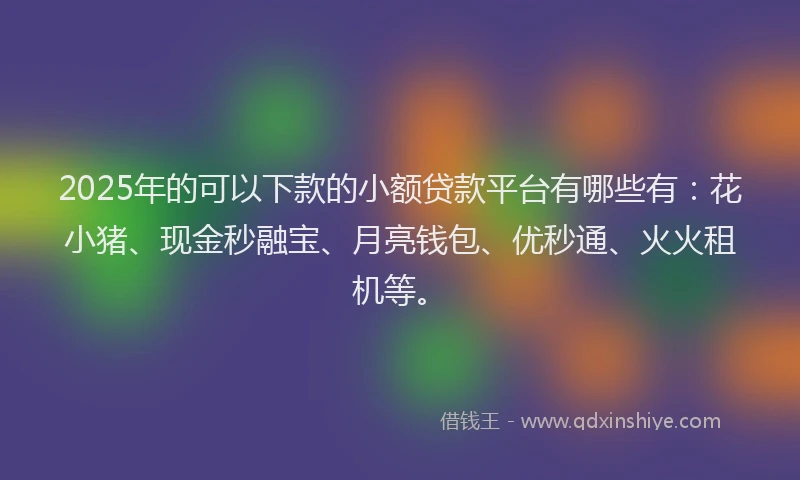 2025年的可以下款的小额贷款平台有哪些有：花小猪、现金秒融宝、月亮钱包、优秒通、火火租机等。
