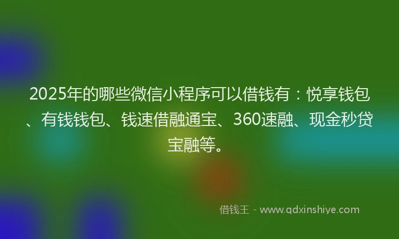 2025年的哪些微信小程序可以借钱有：悦享钱包、有钱钱包、钱速借融通宝、360速融、现金秒贷宝融等。