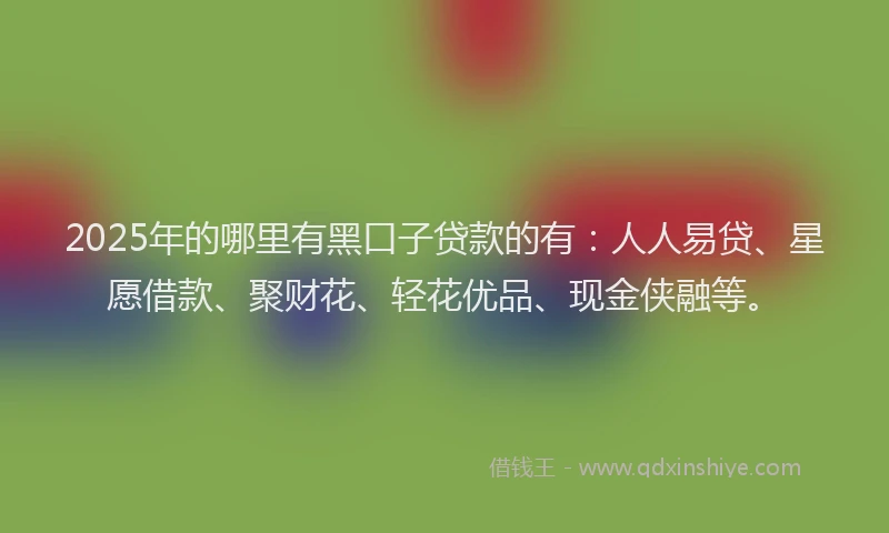 2025年的哪里有黑口子贷款的有：人人易贷、星愿借款、聚财花、轻花优品、现金侠融等。