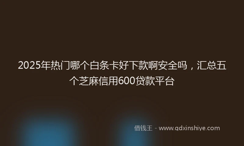 2025年热门哪个白条卡好下款啊安全吗，汇总五个芝麻信用600贷款平台