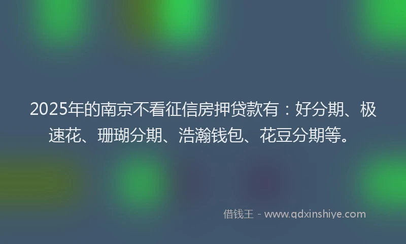 2025年的南京不看征信房押贷款有：好分期、极速花、珊瑚分期、浩瀚钱包、花豆分期等。