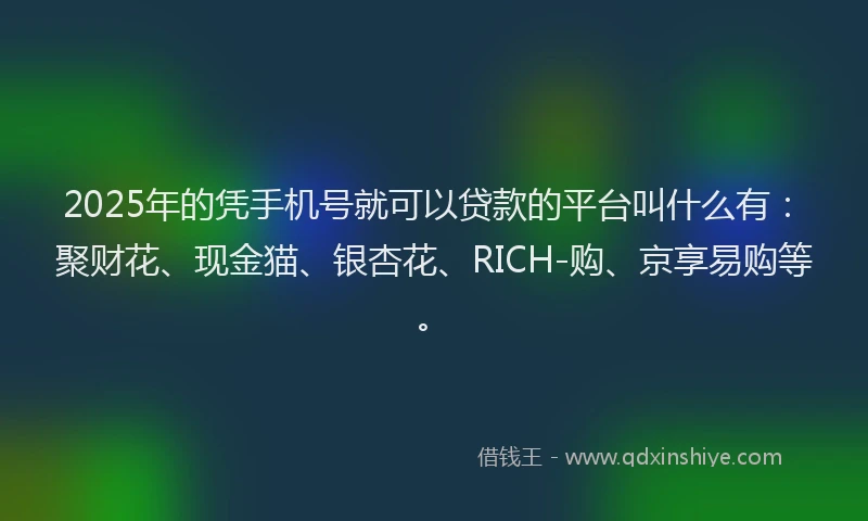 2025年的凭手机号就可以贷款的平台叫什么有：聚财花、现金猫、银杏花、RICH-购、京享易购等。