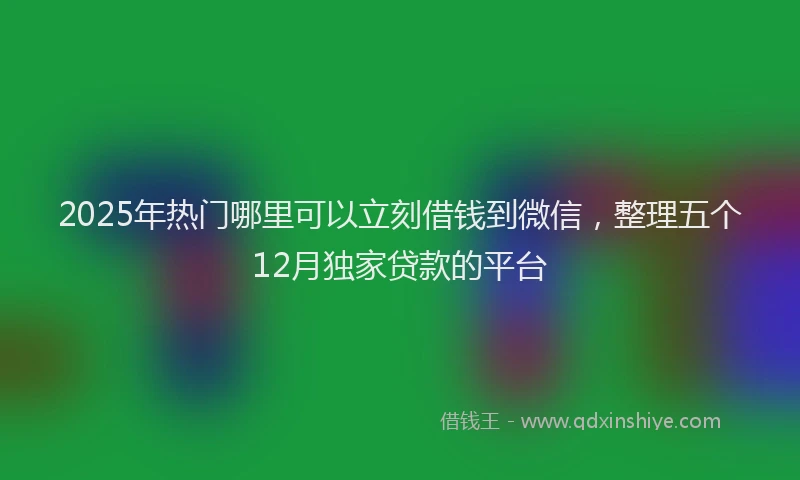 2025年热门哪里可以立刻借钱到微信，整理五个12月独家贷款的平台