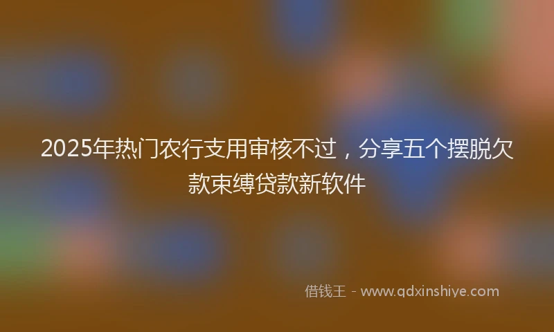 2025年热门农行支用审核不过，分享五个摆脱欠款束缚贷款新软件