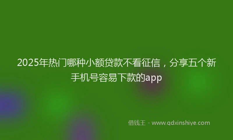 2025年热门哪种小额贷款不看征信，分享五个新手机号容易下款的app